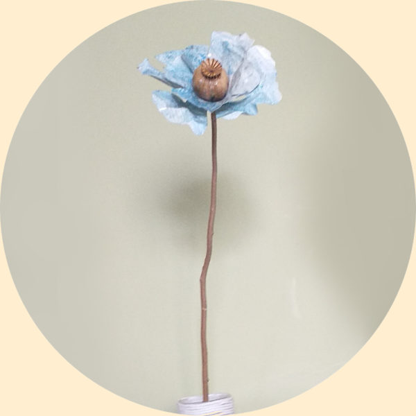 déco florale minimaliste pavot grand pavot bleu